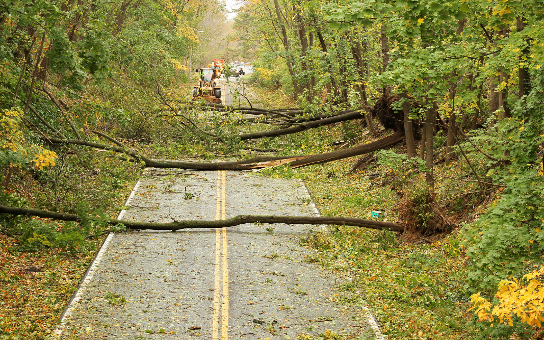 Hurricane damage across a road.