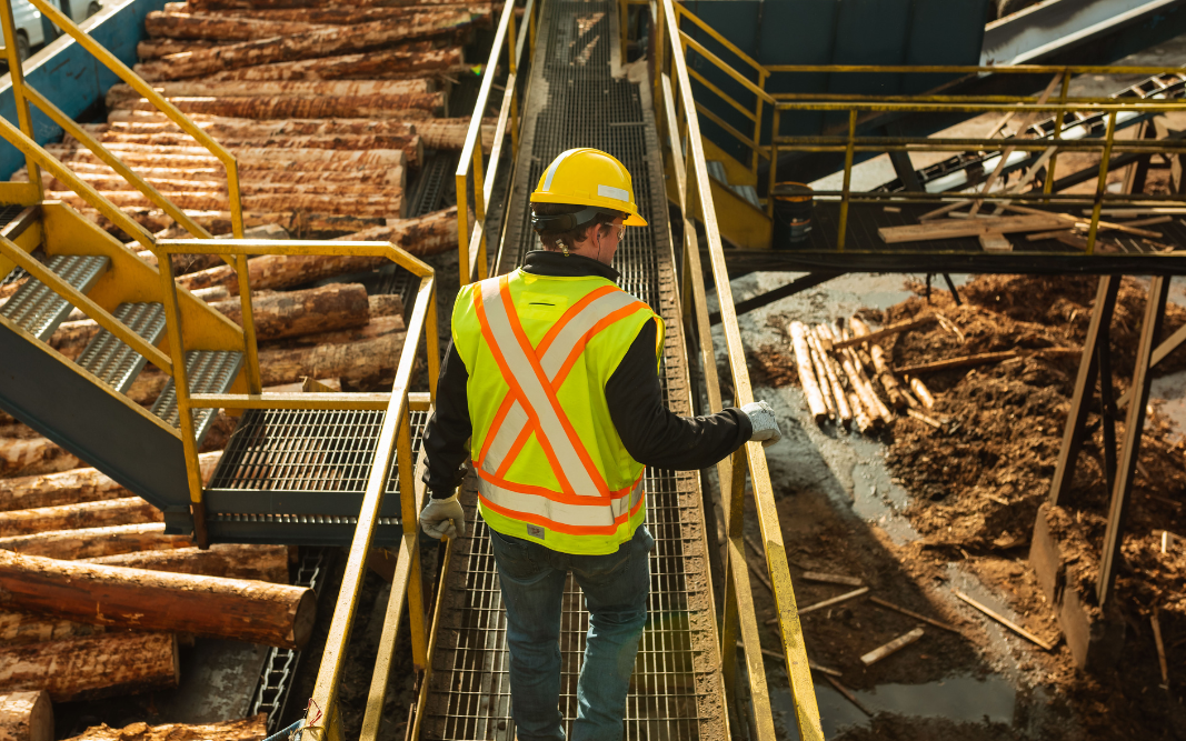 Man in hi-vis vest and hat walking above wood processing equipment at saw mill