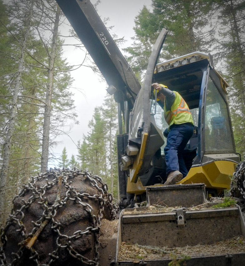 A man climbs into a harvesting machine in the forest.