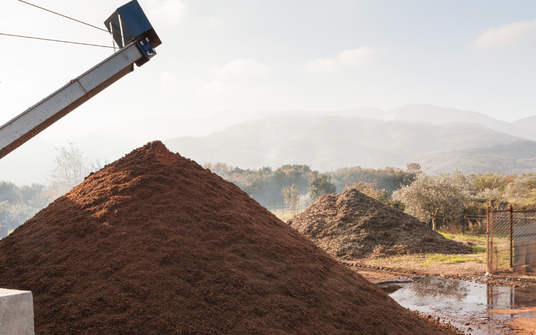 Biomass at Mill