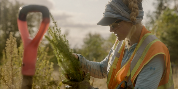 A woman wears safety gear while planting trees in the forest.